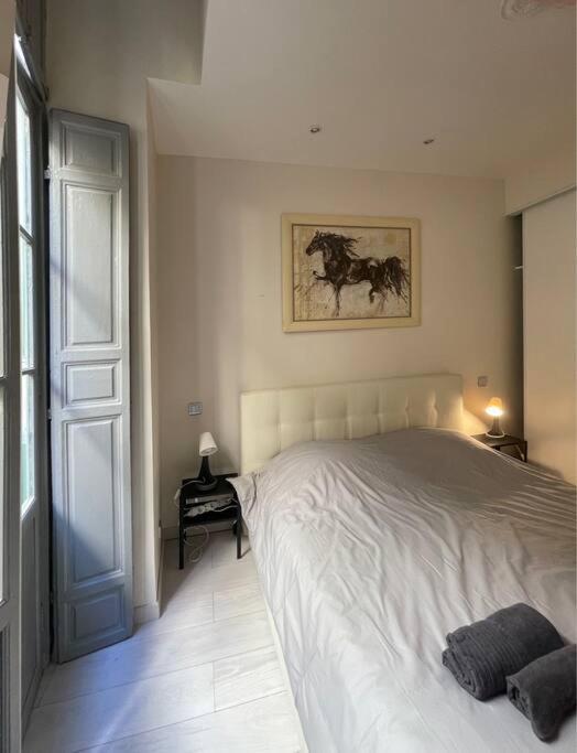 Luxury Apartment In The Heart Of Old Town Nice. Екстер'єр фото